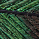 Illustration for article titled Amazing Photographs Capture the Microscopic Iridescence of Peacock Feathers